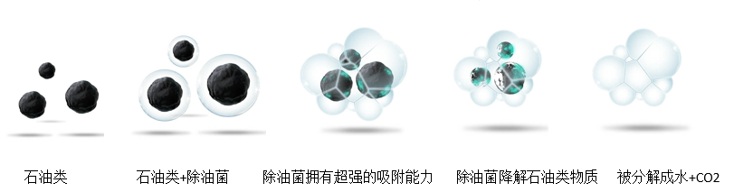 1568274464923092.png 1.png