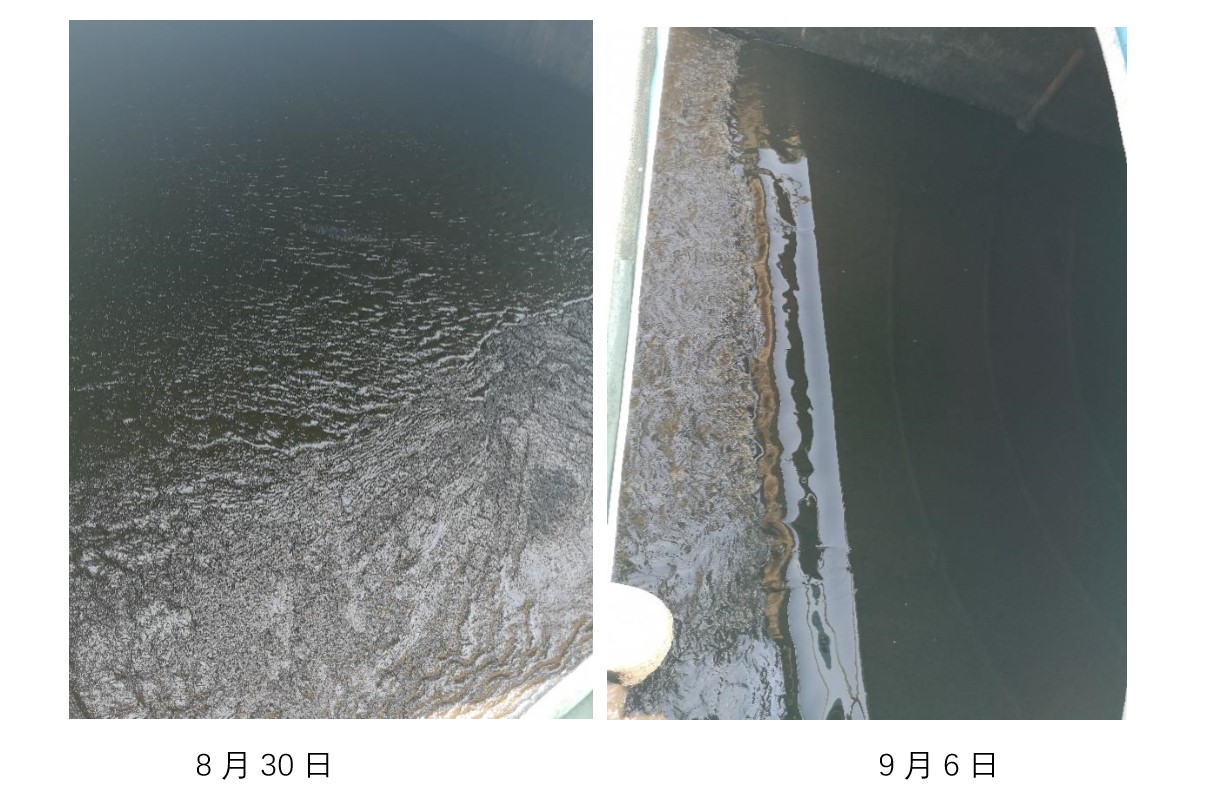 1568274713332314.jpg 1568274713332314.jpg