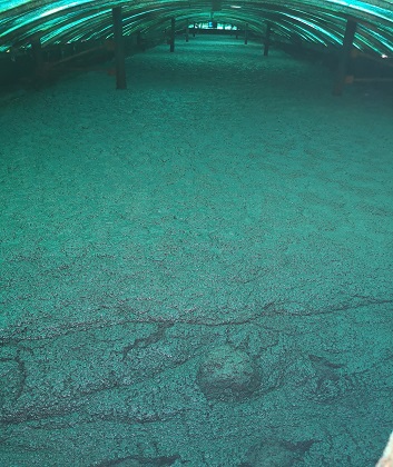 1568276789363842.jpg 微信圖片_20190912140223.jpg