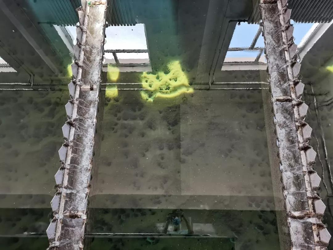 市政污水.jpg 市政污水.jpg