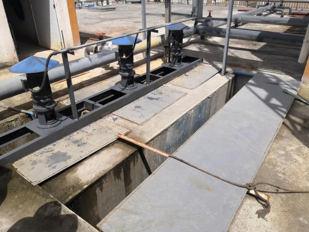 菌種.jpg 菌種.jpg