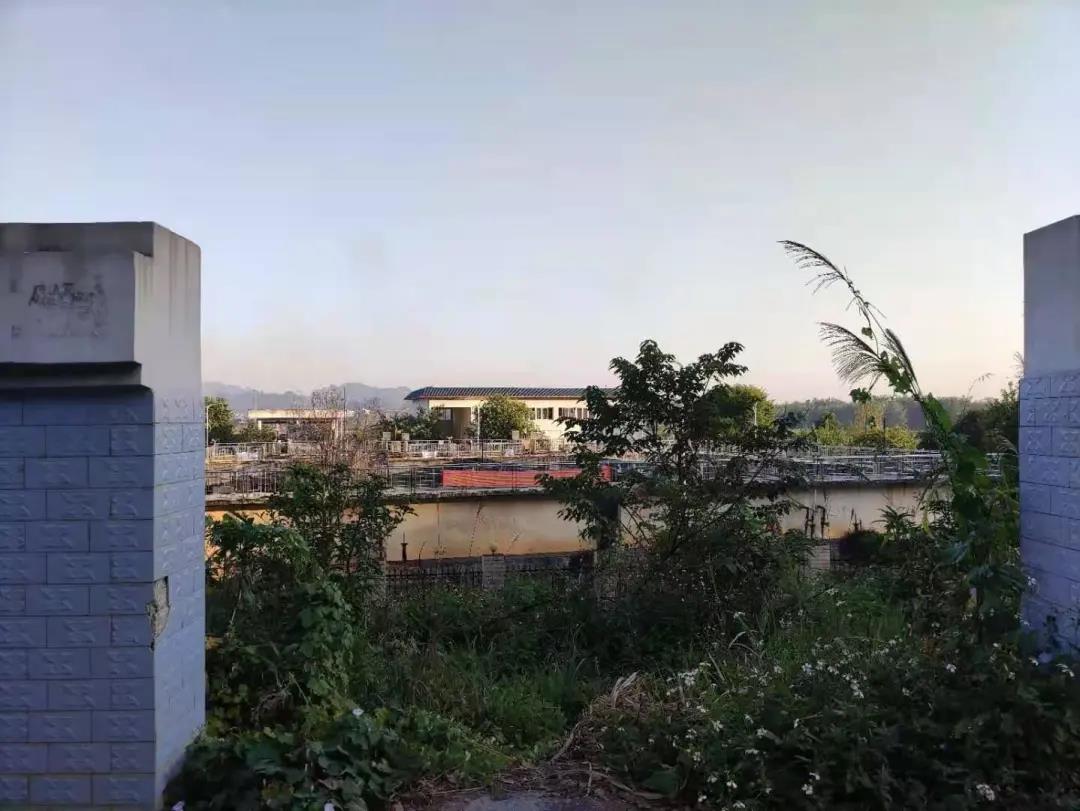 總磷.jpg 總磷.jpg