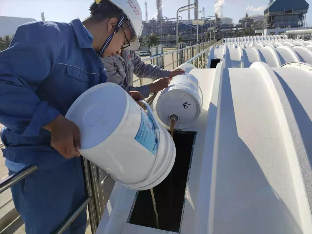 氨氮超標(biāo).jpg 氨氮超標(biāo).jpg