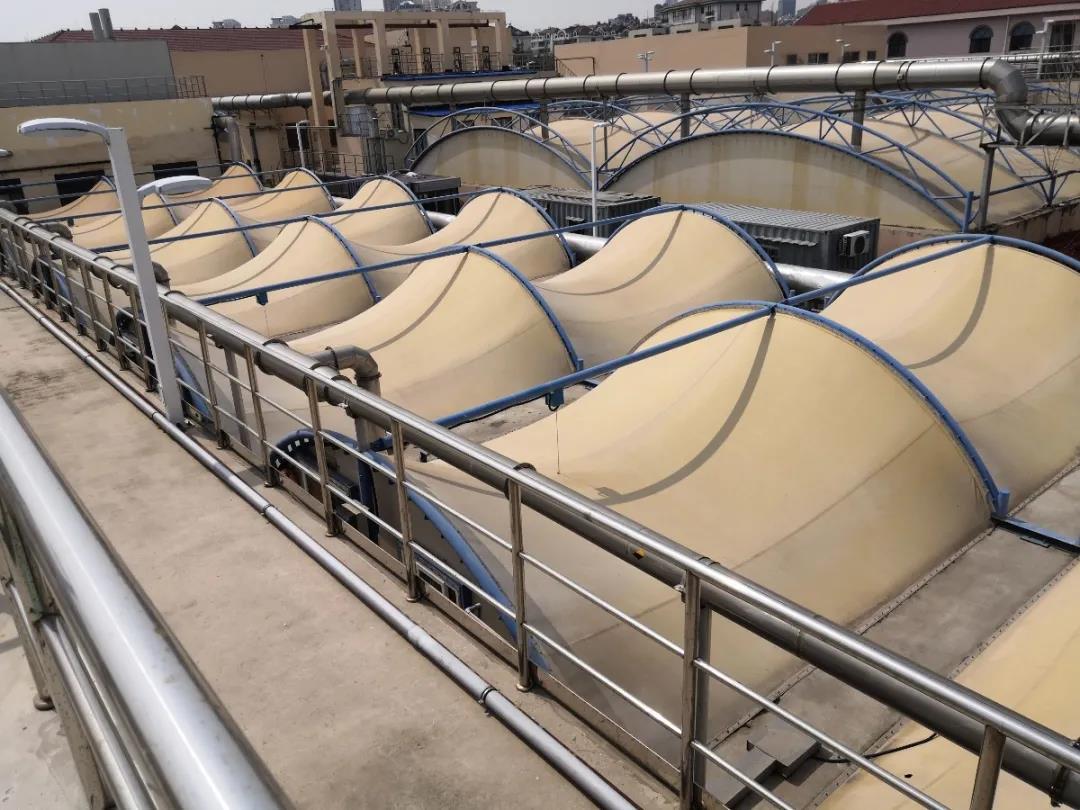 普羅生物 普羅生物