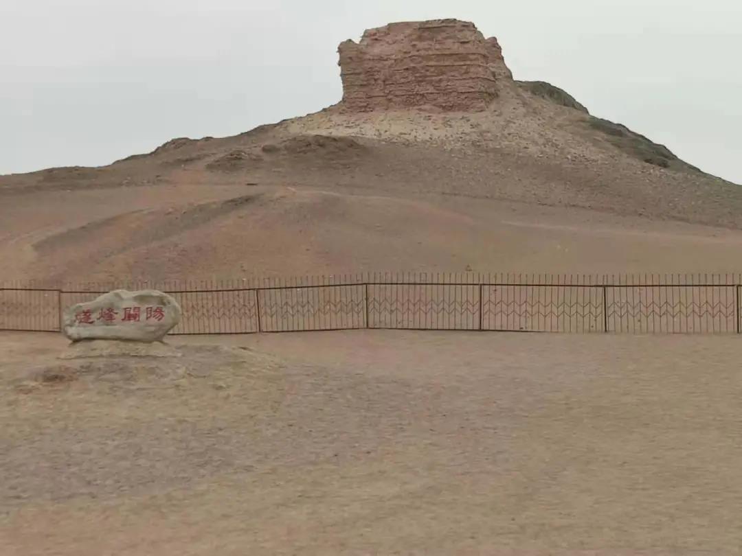 1625817736774237.jpg 1625817736774237.jpg