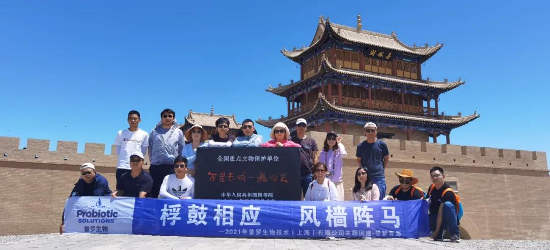 1625817911497277.jpg 1625817911497277.jpg