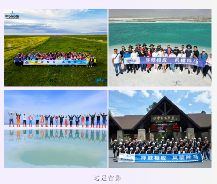 1666169502571984.png image.png