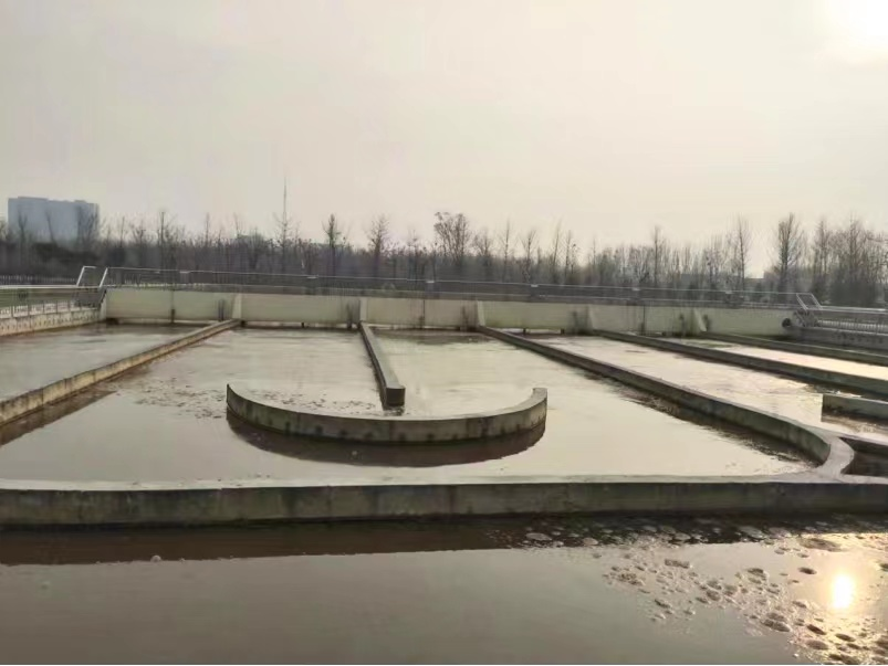 1669800077518233.png 1669800077518233.png