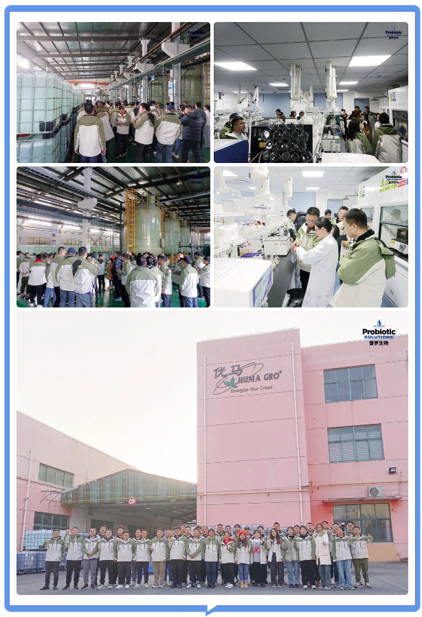 1706001171147689.png 圖片.png