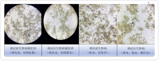 1707272803769430.png 圖片.png