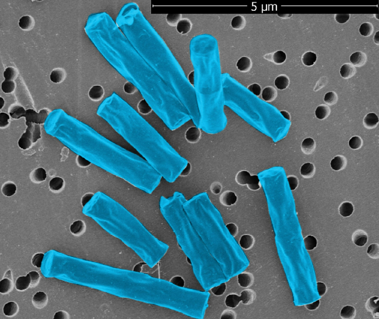 1716369192883320.png 22.png