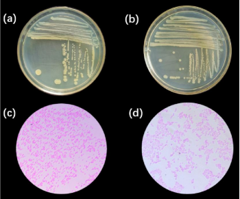 1719566287254049.png 1.png