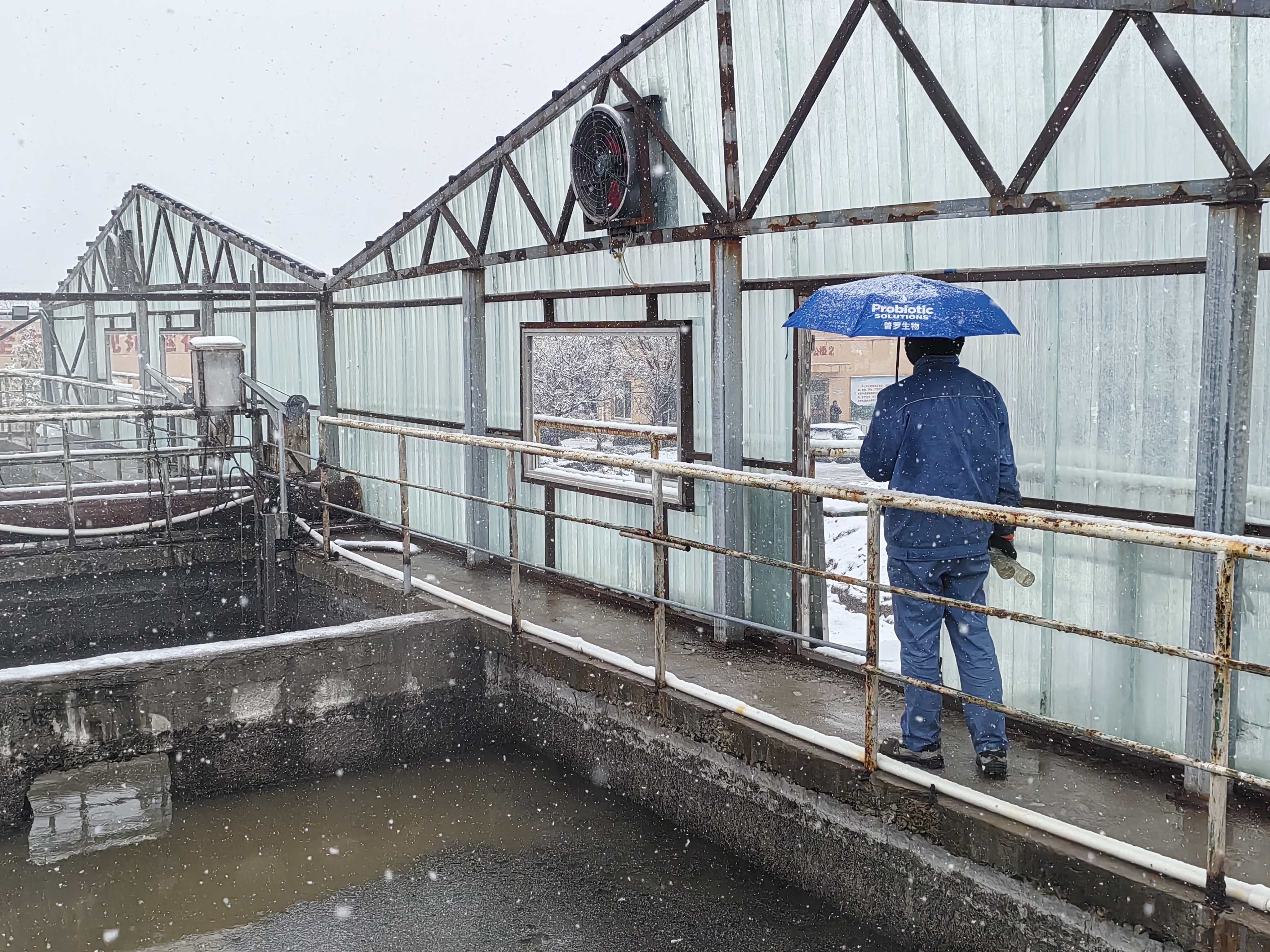 低溫微生物 低溫微生物